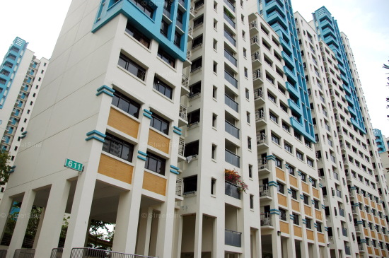 Blk 611 Bukit Panjang Ring Road (Bukit Panjang), HDB 5 Rooms #221092